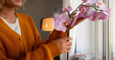 Planta pe care trebuie să o pui în dormitor! Aduce noroc în bani și îți salvează relația