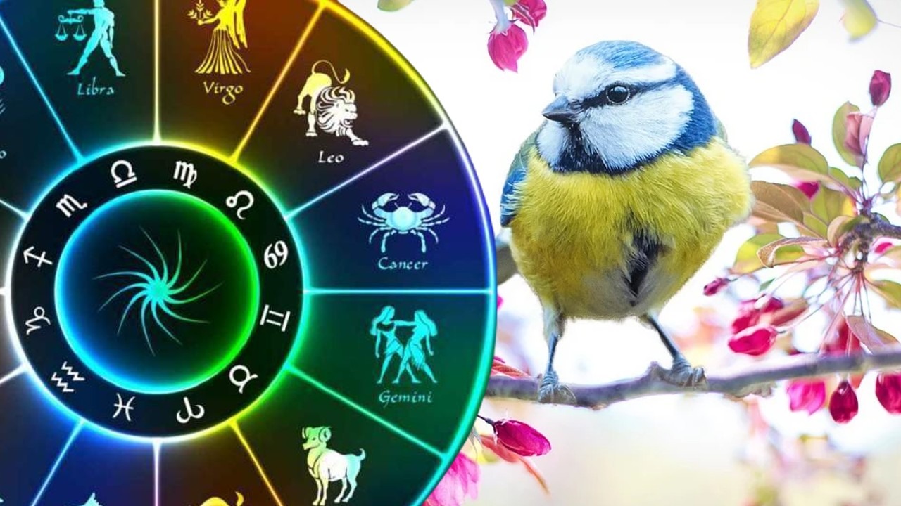 Zodiile care dau lovitura marți, 21 aprilie! Se anunță bani mulți pentru Balanțe și promovări la locul de muncă