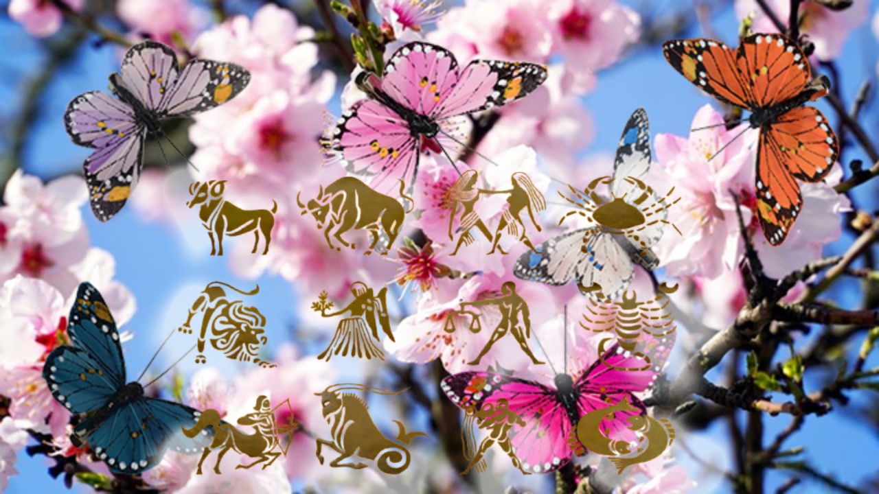 Zodii cu probleme mari azi! Peștii rămân fără bani, iar Leii riscă totul. Ce se întâmplă miercuri, 29 aprilie