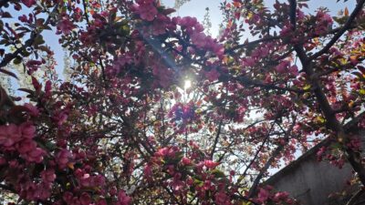 Răsturnare totală de situație în mai 2026! Zodiile care dau lovitura la bani și cine trece prin schimbări radicale