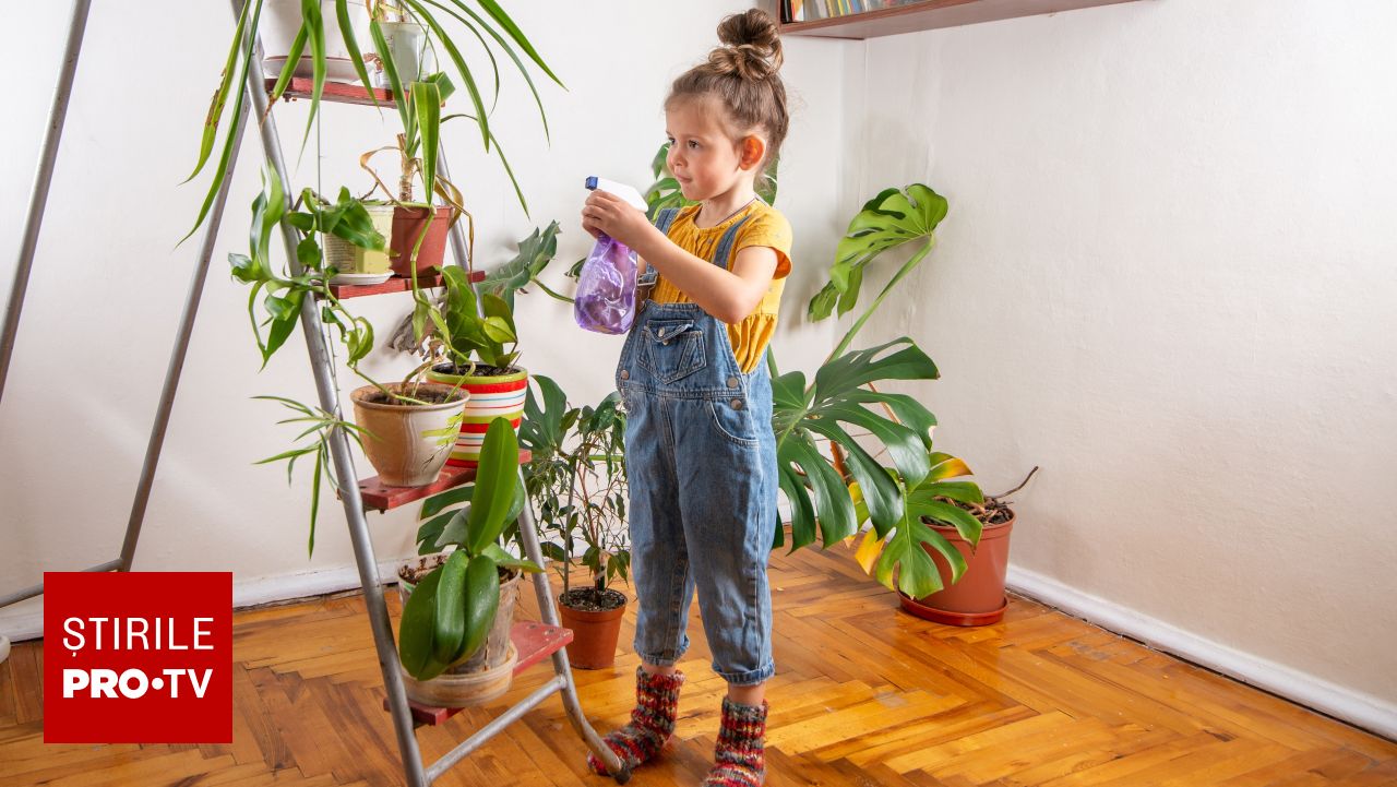 Ucigașul tăcut din ghiveci! Planta pe care aproape toți românii o au în casă, dar care e un pericol uriaș pentru copii