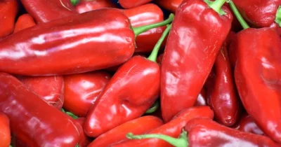 Secretul celor mai mari ardei: Ingredientul pe care mulți îl uită, dar care îți umple grădina de fructe uriașe!
