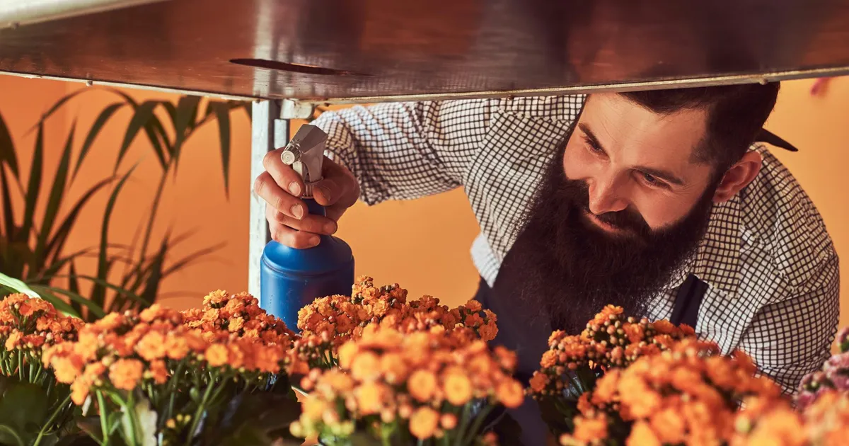 Trucul genial pentru plantele tale: de ce trebuie să pui apă oxigenată în ghiveci. Efectul este incredibil!