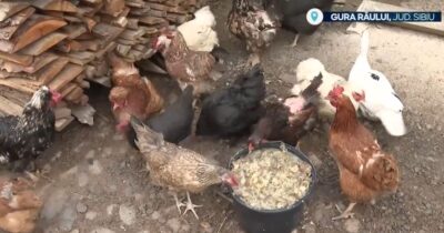 Mitul vieții la țară, spulberat! Câți bani cheltuiești lunar, de fapt, pentru a supraviețui la sat