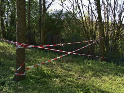 Sfârșit tragic pentru un tânăr din Găești! A fost găsit fără suflare în ..