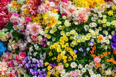 Floarea divină care îți schimbă destinul în iunie! Ce trebuie să facă fetele cu ea ca să se mărite imediat