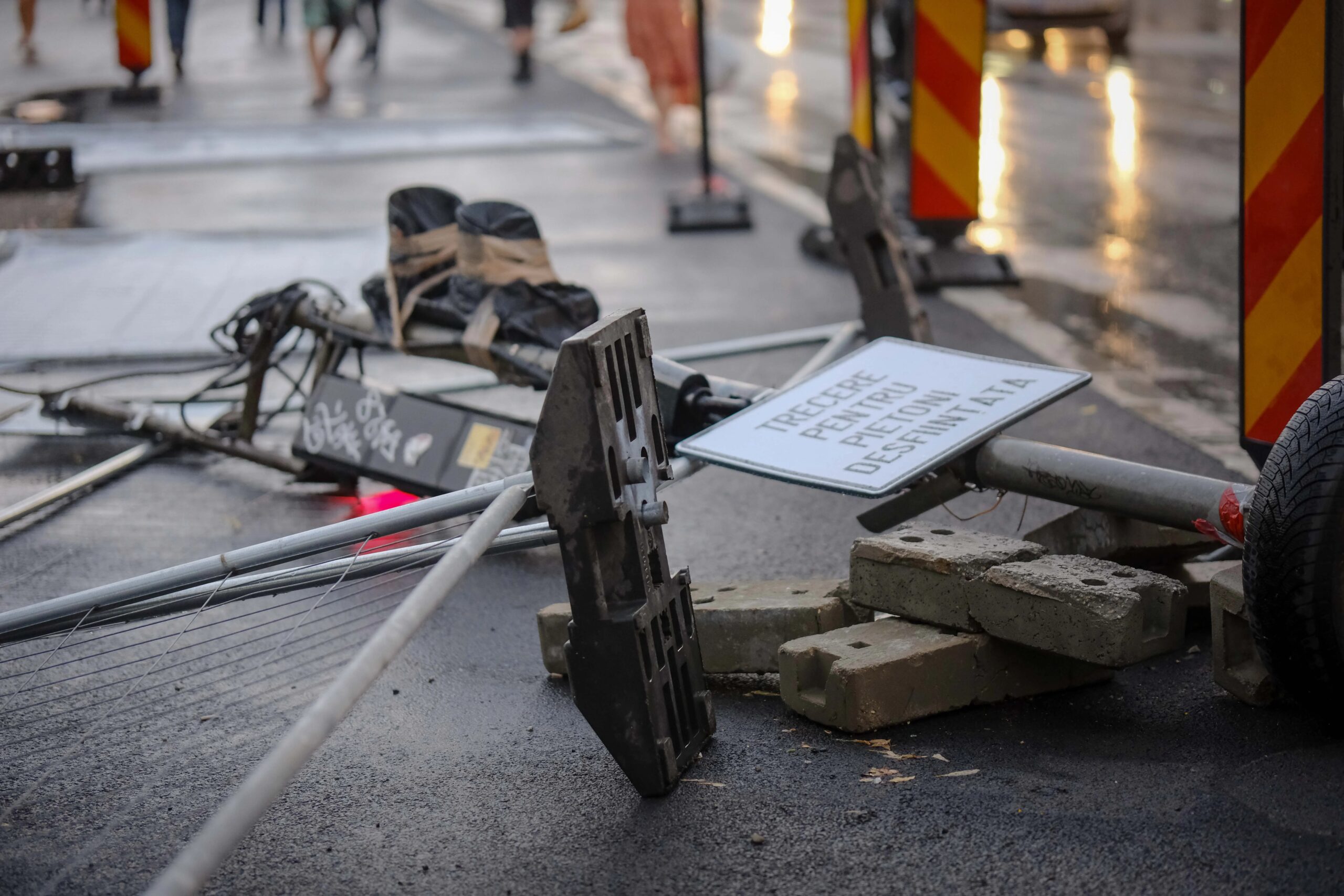 Tragedie în Capitală: Un bărbat de 40 de ani a murit strivit de un copac în timp ce …