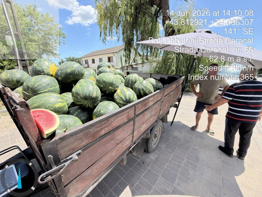 Cât a ajuns să coste un kilogram de pepene de Dăbuleni! Suma reală pentru care se vinde acum în piețe