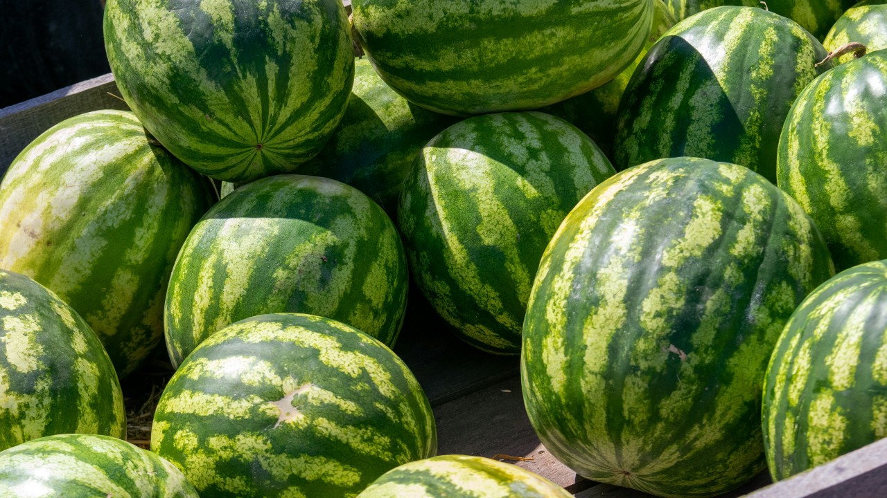 Trucul genial pentru cel mai dulce pepene! Uită-te la acest detaliu de pe coajă înainte să îl cumperi de la piață