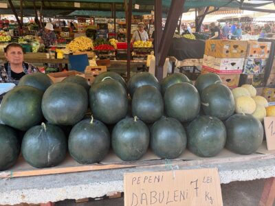 Au apărut celebrii pepeni de Dăbuleni în piață! Cât a ajuns să coste un kilogram și cine este singura vânzătoare