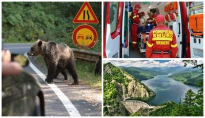 Clipe de coșmar lângă Vidraru! O turistă străină a fost atacată de urs. Ce a pățit femeia chiar sub ochii tuturor