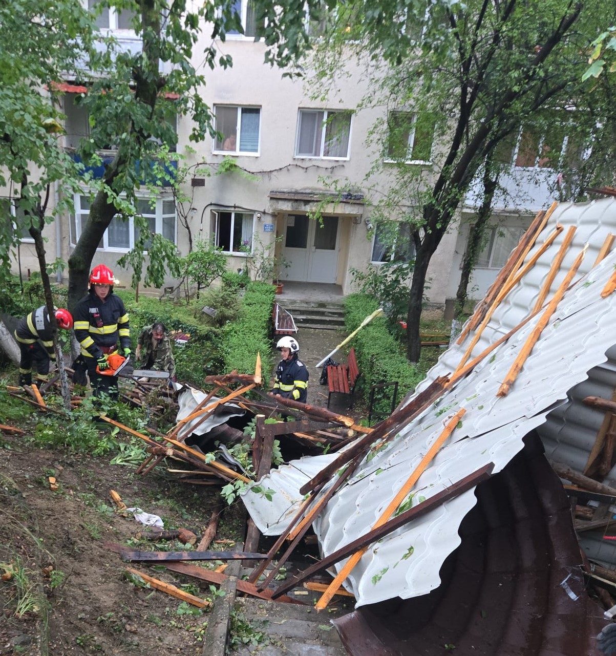 Dezastru în 18 județe! Un șofer a murit strivit de un copac, zeci de …
