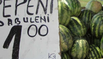 Adevărul crud despre pepenii de Dăbuleni: Ce mănânci, de fapt, când îi cumperi din supermarket
