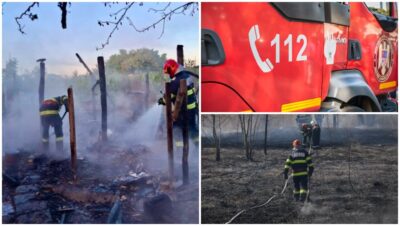 Dezastru într-o gospodărie din Botoșani! Peste 100 de animale au pierit în flăcări. Ce a provocat tragedia