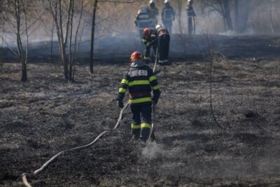 Dezastru într-o gospodărie din Botoșani: Peste 100 de animale au ars de vii într-un incendiu violent