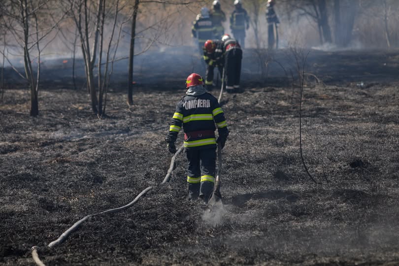 Dezastru într-o gospodărie din Botoșani: Peste 100 de animale au ars de vii într-un incendiu violent