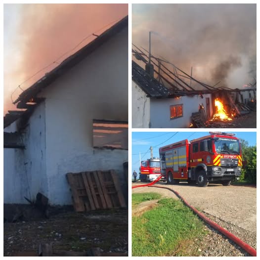 TRAGEDIE în Suceava! O fermă a fost făcută scrum în zori. 1.000 de găini au murit arse de vii