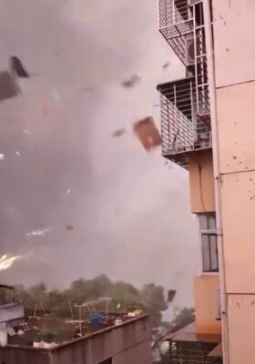Tornadă de coșmar în China: Un bărbat a fost smuls de la etajul 12, iar 800 de șerpi au evadat din ferme