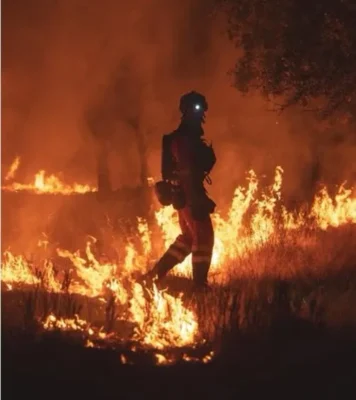Spania instituie starea de urgență națională în Madrid și Avila din cauza incendiilor de vegetație care au impus mii de evacuări