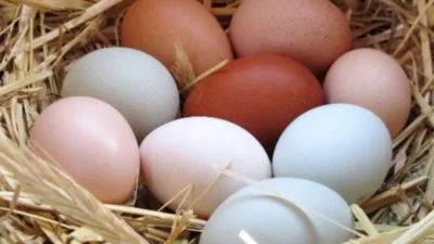 Secretul pentru ouă ochiuri perfecte: ce trebuie să pui în tigaie