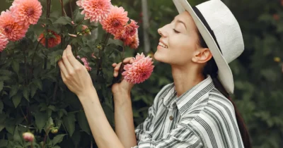 Secretul pentru dalii fabuloase până toamna! Ce trebuie să faci neapărat în iulie