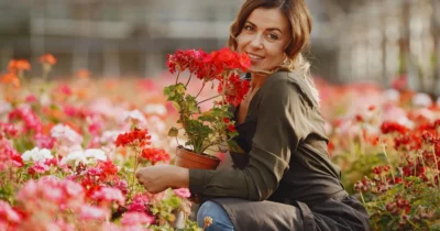 Obiectul banal din baie care îți salvează florile când ești plecat! Trucul genial cu un prosop vechi