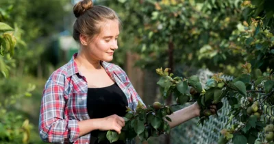Greșeala uriașă care îți distruge plantele pe caniculă! De ce să nu le mai uzi zilnic și care este secretul