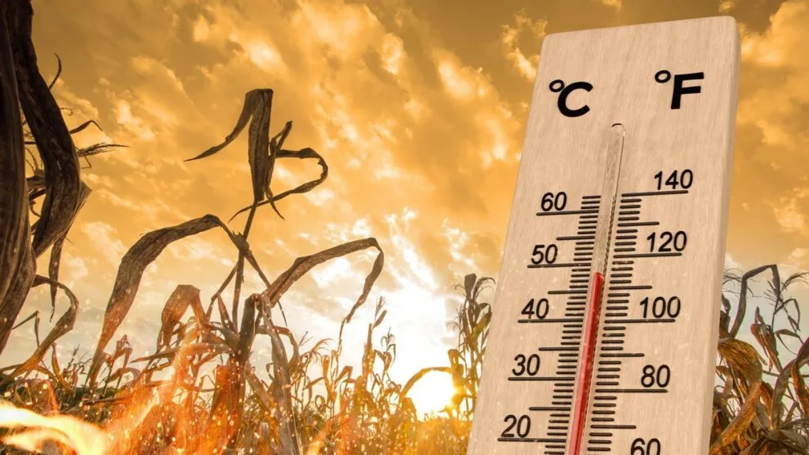 România, sub asediul aerului african! Ce temperaturi vom avea în București și când începe coșmarul termic