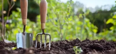 I-a cerut curtea pentru o aniversare, dar când s-a întors a găsit o groapă uriașă: ce căuta vecinul