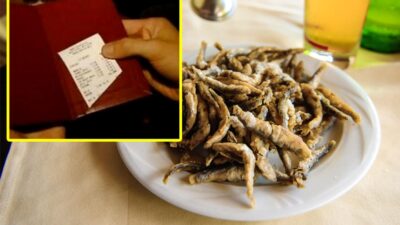 „Mâncare de lux” pe litoral! Câți bani au plătit doi vloggeri pentru 12 hamsii în Eforie Nord