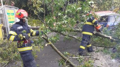 De ce cad, de fapt, copacii peste mașini și oameni? Greșeala fatală făcută de primării care a dus la tragedii!