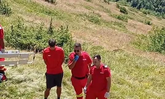 Tragedie în Munții Grohotiș. Un bărbat de 69 de ani a murit în timp ce culegea afine
