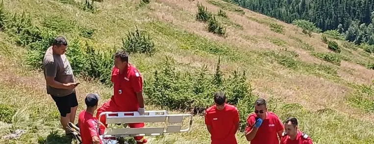 Tragedie în Munții Grohotiș. Un bărbat de 69 de ani a murit în timp ce culegea afine