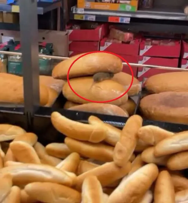 Imagini revoltătoare într-un supermarket. Un rozător a fost surprins direct pe pâinea pusă la vânzare