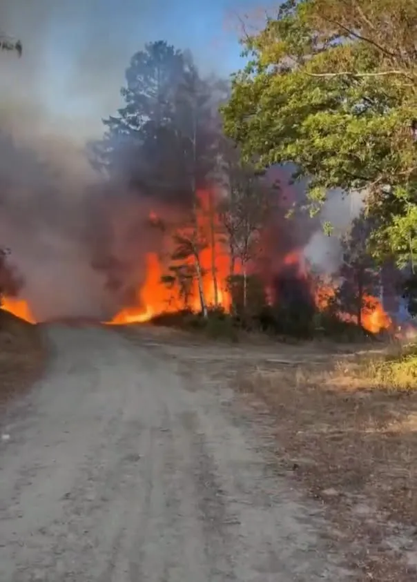 Mii de persoane evacuate în vestul Germaniei din calea unui incendiu de vegetație scăpat de sub control