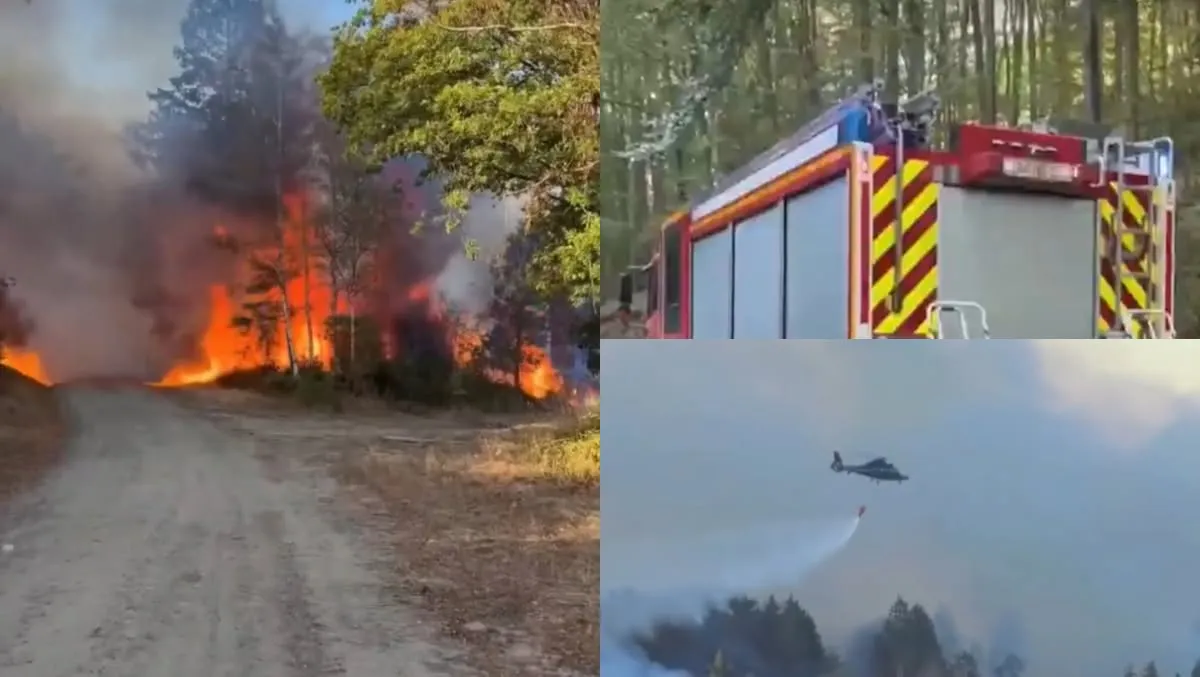 Mii de oameni evacuați în vestul Germaniei din cauza unui incendiu de vegetație de proporții