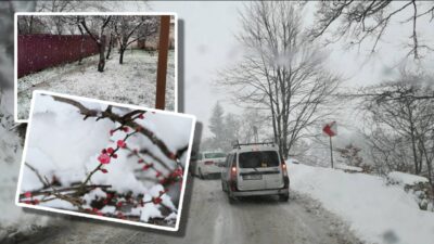 Vremea o ia razna! Anunțul meteorologilor despre iarna care vine. Ce se întâmplă cu vortexul polar