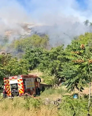 Incendiu violent de vegetație în Tulcea. Flăcările amenință casele și pădurea