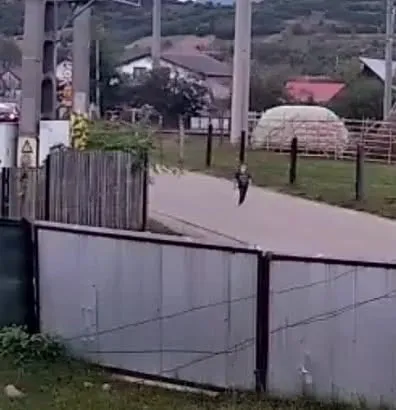 Copilul de 4 ani dispărut în județul Bacău a fost găsit decedat. Trupul a fost descoperit în râul Trotuș