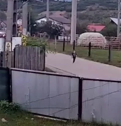 Tragedie în județul Bacău. Băiețelul de 4 ani dat dispărut a fost găsit fără suflare