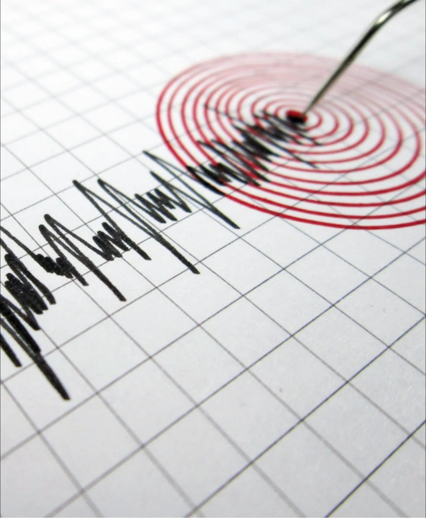 Nou cutremur în România. Seismul s-a produs în această dimineață în zona Vrancea