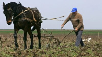 Câți bani iau în mână, de fapt, românii care lucrează în agricultură. Suma netă din 2026