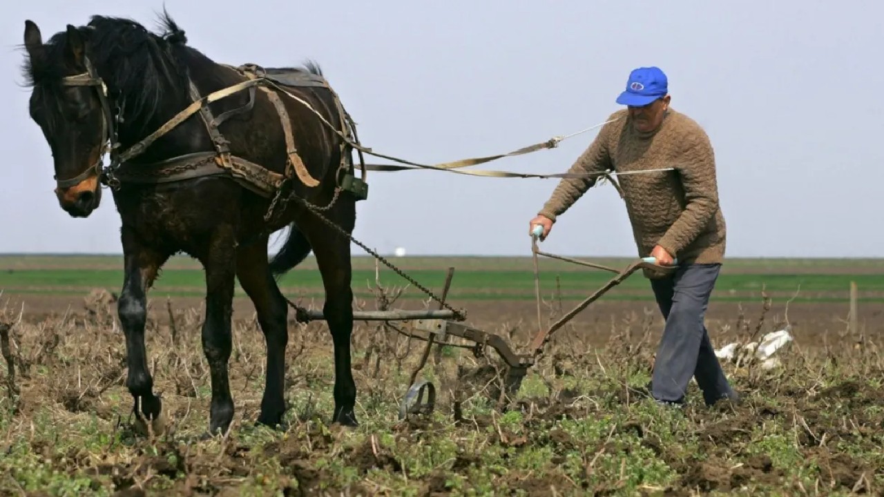 Câți bani iau în mână, de fapt, românii care lucrează în agricultură. Suma netă din 2026