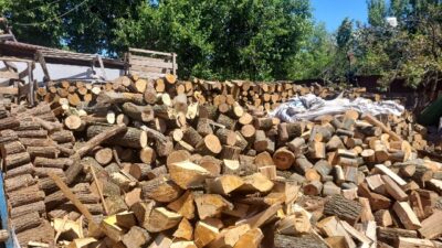 Câți bani trebuie să scoată românii din buzunar pentru lemnele de foc. Suma uriașă pentru o singură iarnă