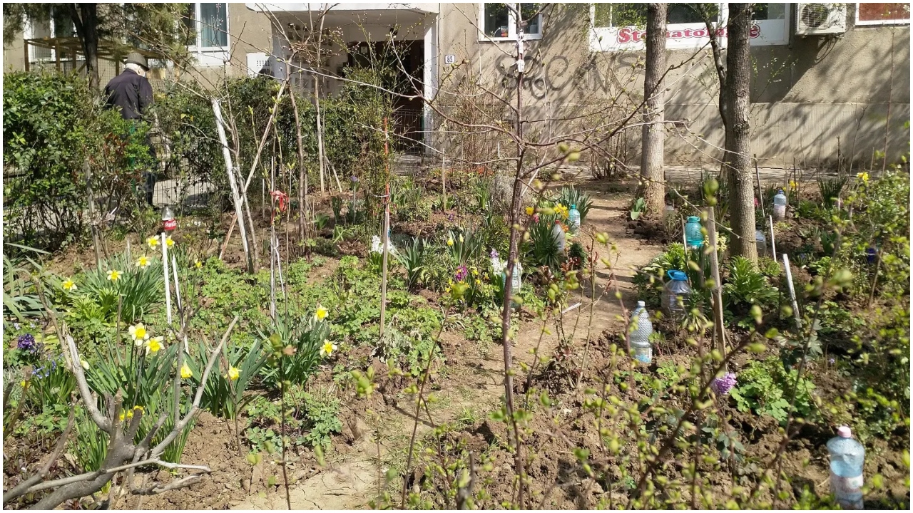 Ai pus flori sau copaci în grădina blocului? Gestul interzis care te poate lăsa fără bani