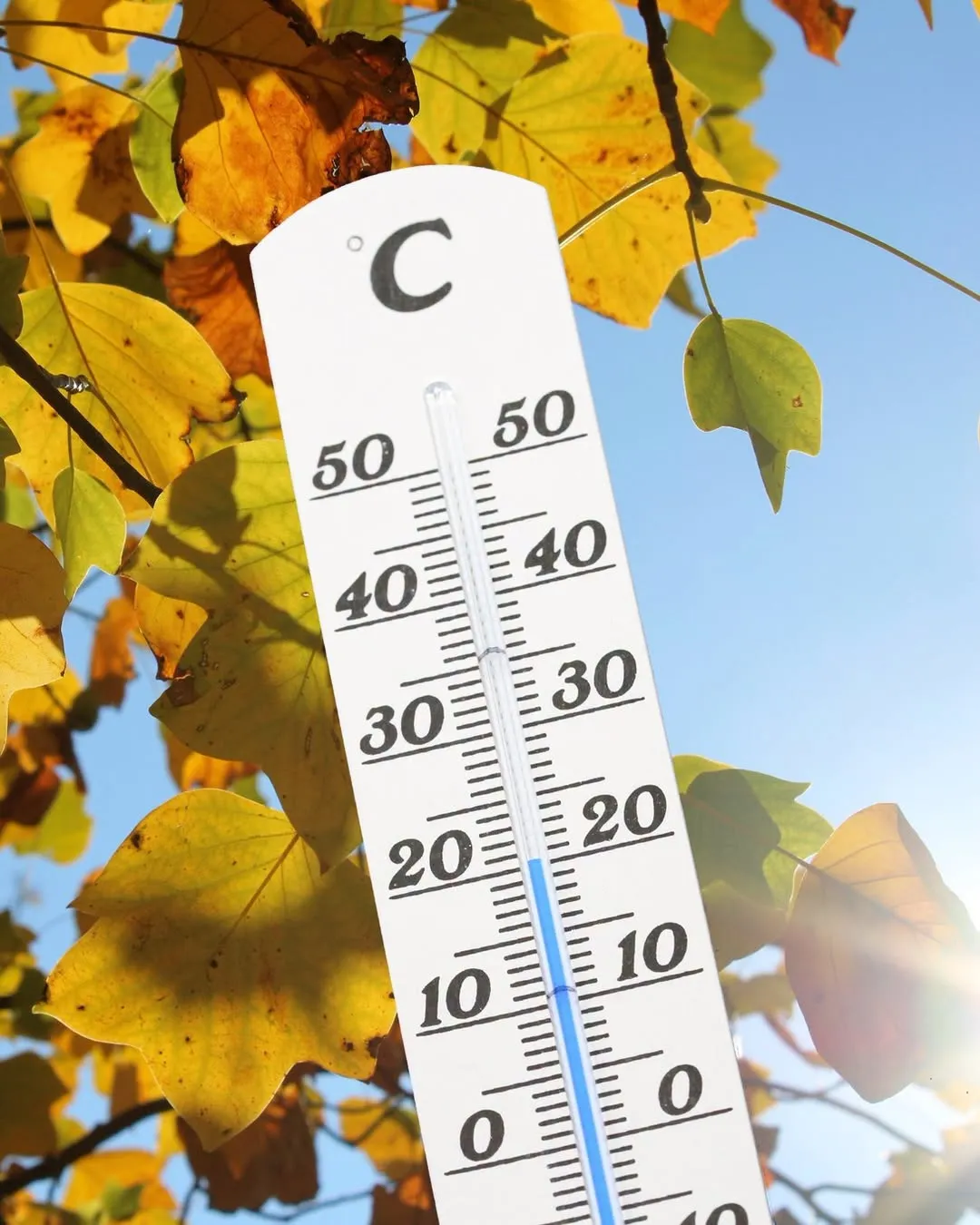 Prognoza meteo pentru următoarea lună. Temperaturi scăzute în primele zile și schimbări majore în toată țara