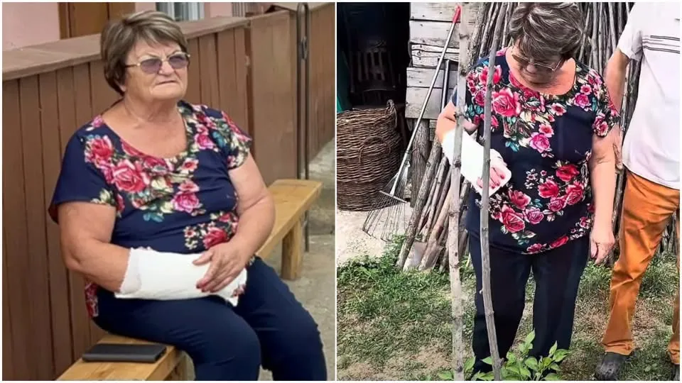 GROAZĂ la Costuleni! Femeie atacată de un ȘACAL TURBAT chiar în propria gospodărie!