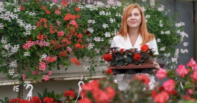 Greșeala pe care o fac mulți toamna în grădină! Ce flori trebuie să tai acum și ce trebuie să lași neatinse