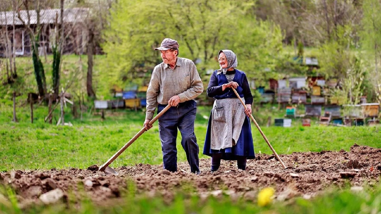 Când pot ieși femeile la pensie. Calendarul până în 2035 și reducerile de vârstă pentru mame