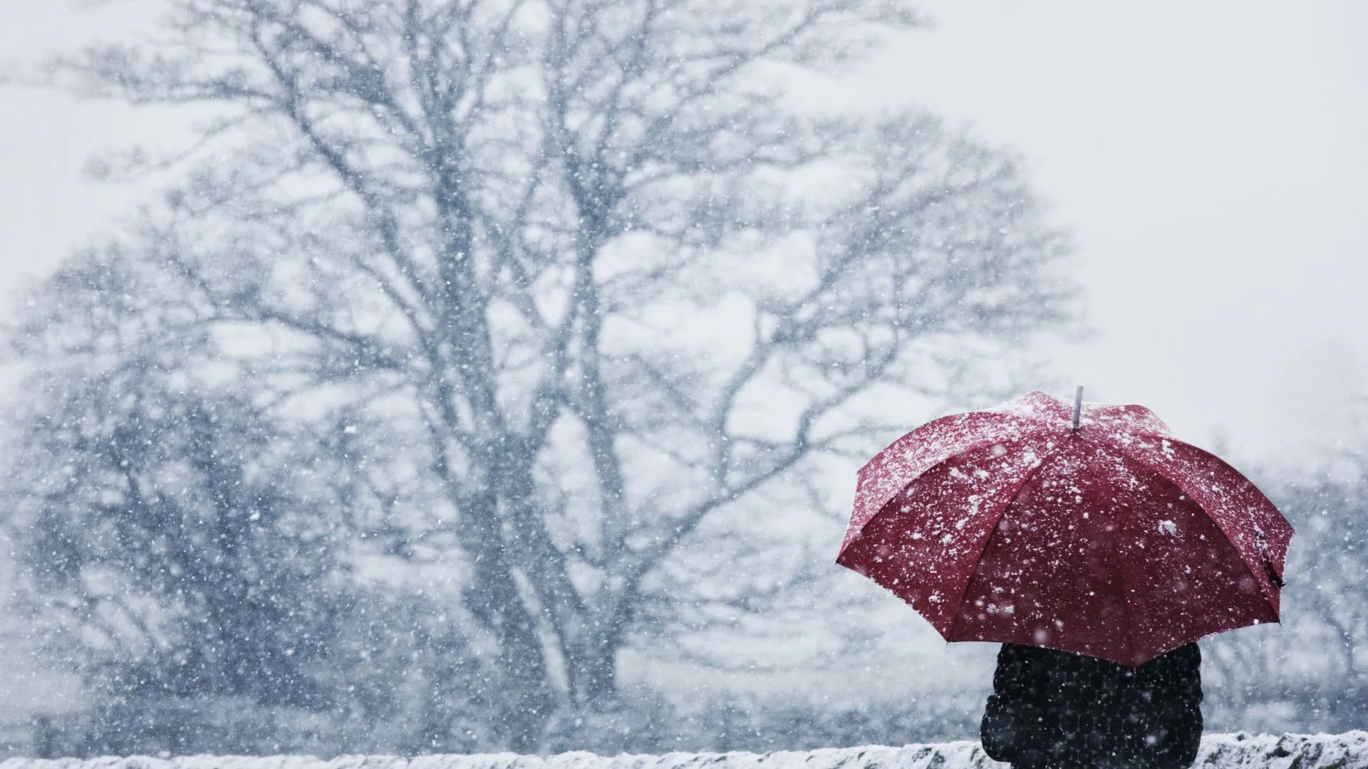 ULTIMĂ ORĂ! RĂSTURNARE TOTALĂ de situație cu VREMEA! Anunțul meteorologilor despre NINSORI!